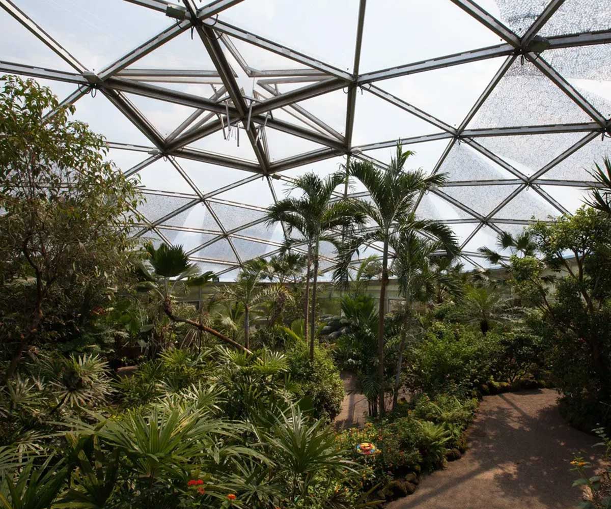 Sicht in das Papiliorama in Kerzers
