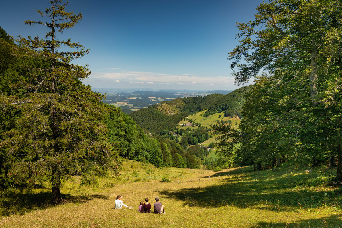 Wanderinnen und Wanderer auf einem Wanderweg auf den Wasserfallen in der Schweiz