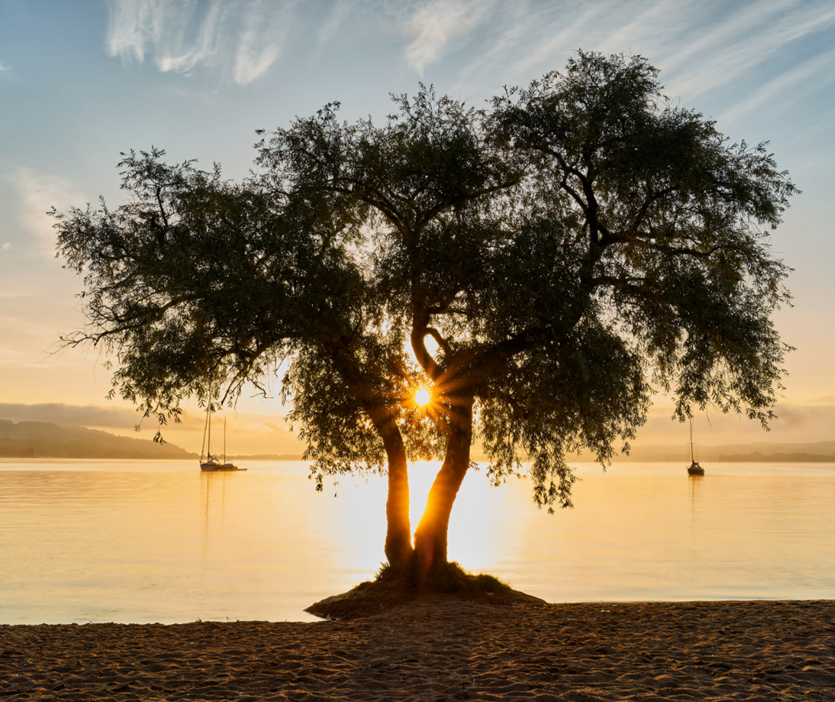 Strand von Salavaux, Murtensee